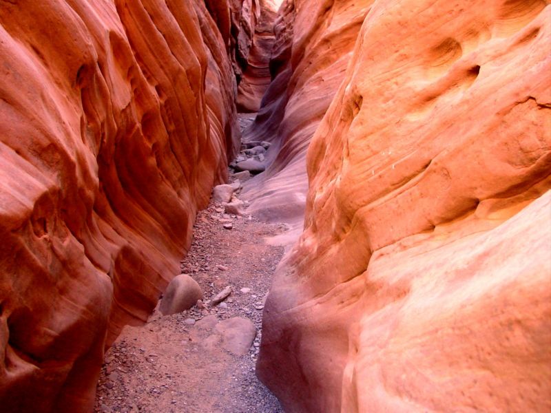 04160302LittleWildHorse (1035)